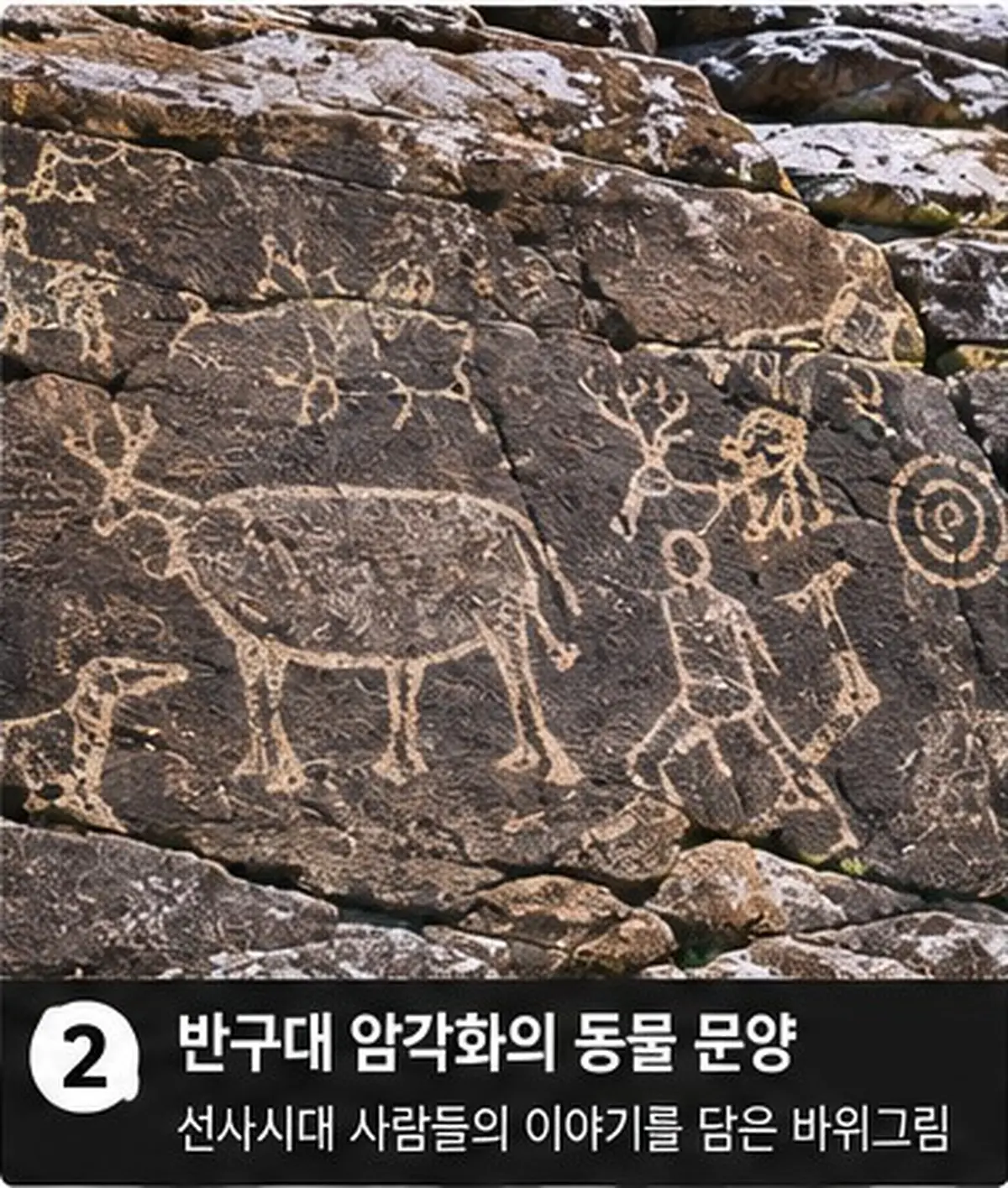 울산암각화박물관 암각화 공작소｜9월 17일까지 가족 모집